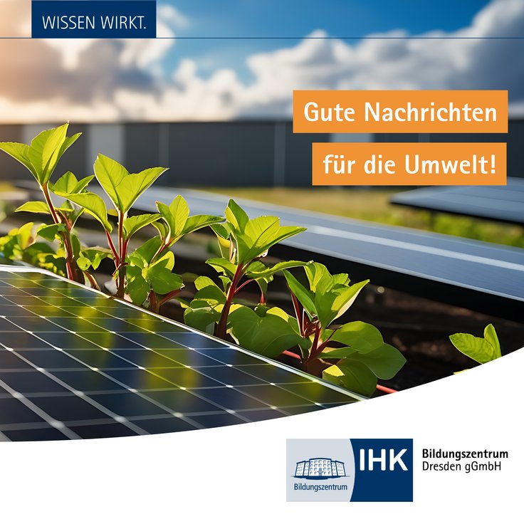 Solarpanel