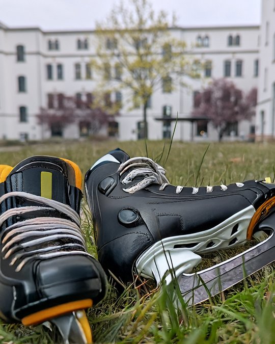 A pair of black hockey skates with orange accents is resting on green grass, with a blurred white building and trees in the background. The focus is on the skates, showcasing their blades and laces.