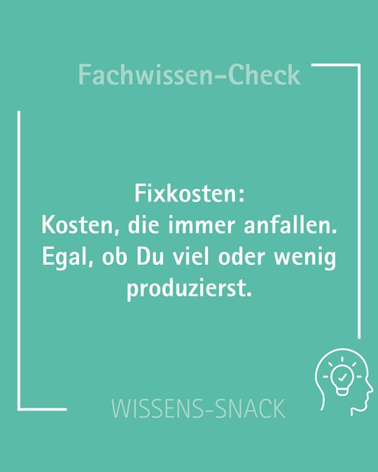 Textbeschreibung: Der Hintergrund ist mintgrün. In der Mitte steht der Begriff "Fixkosten" mit der Definition: "Kosten, die immer anfallen. Egal, ob Du viel oder wenig produzierst." Am unteren Rand steht "WISSENS-SNACK" sowie ein einfaches, ikonisches Bild eines Kopfes mit einer Glühbirne.