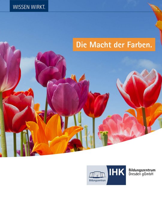 bunte Tulpen unter blauem Himmel
