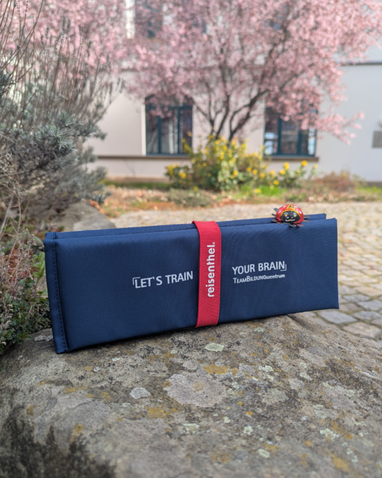 A dark blue game or training mat with red branding and the text "LET'S TRAIN YOUR BRAIN" displayed on it, resting on a stone surface. In the background, there are pink flowering trees and greenery, suggesting an outdoor setting.
