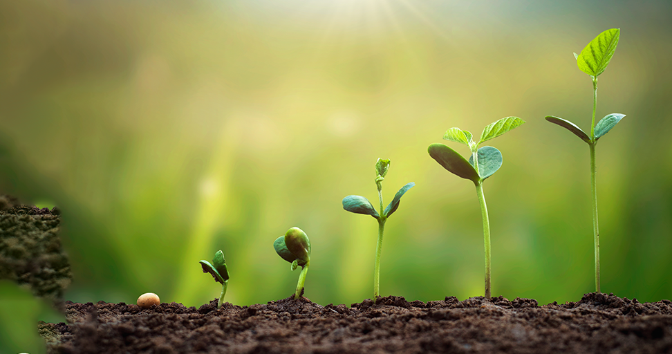 Bild für Kurs: Fachkunde zum Immissionsschutzbeauftragten